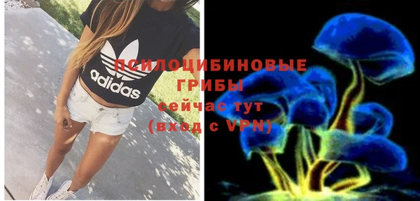 spice Каменногорск