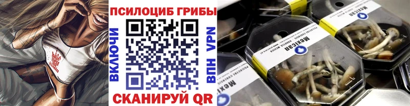 Купить  Чебаркуль  Галлюциногенные грибы Psilocybine cubensis 